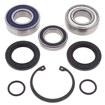 ALL BALLS CHAIN CASE BEARING & SEAL KIT (14 1049)