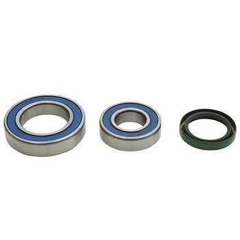 ALL BALLS CHAIN CASE BEARING & SEAL KIT (14 1012)