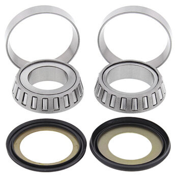 ALL BALLS STRUT BEARING KIT (25 1007)