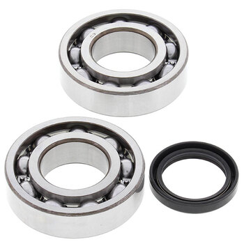 ALL BALLS WHEEL BEARING KIT (25 1081)