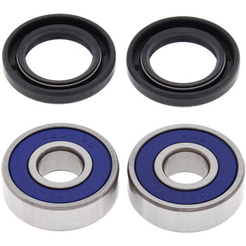 ALL BALLS WHEEL BEARING KIT (25 1021)