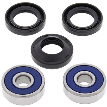 ALL BALLS WHEEL BEARING KIT (25 1021)