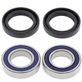 ALL BALLS WHEEL BEARING KIT (25 1021)