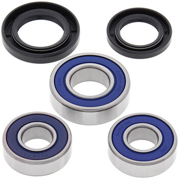 ALL BALLS WHEEL BEARING KIT (25 1413)