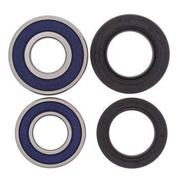 ALL BALLS WHEEL BEARING KIT (25 1021)