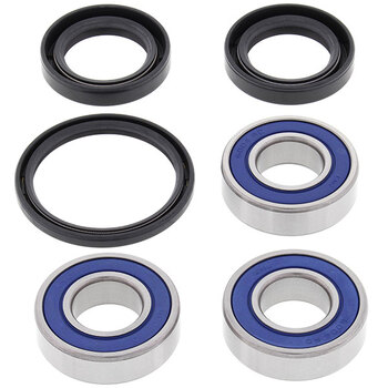 ALL BALLS WHEEL BEARING KIT (25 1021)