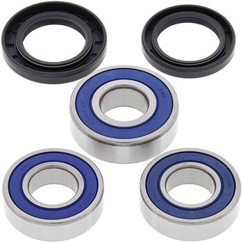 ALL BALLS WHEEL BEARING KIT (25 1021)