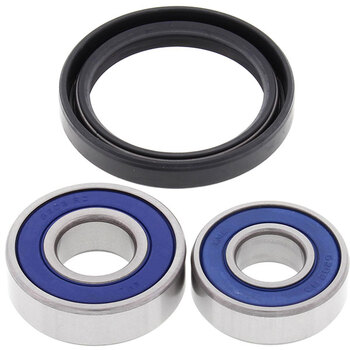 ALL BALLS WHEEL BEARING KIT (25 1021)