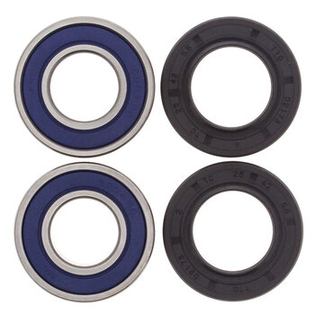 ALL BALLS WHEEL BEARING KIT (25 1021)