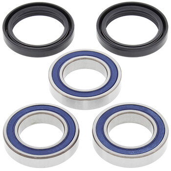 ALL BALLS WHEEL BEARING KIT (25 1021)