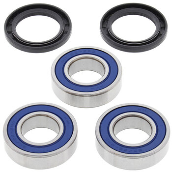 ALL BALLS WHEEL BEARING KIT (25 1021)