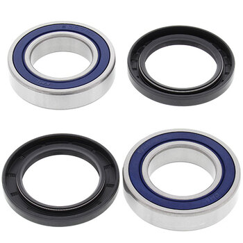 ALL BALLS WHEEL BEARING KIT (25 1029)