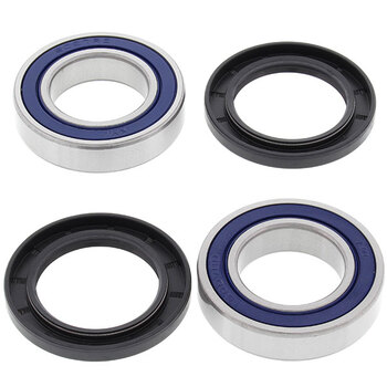 ALL BALLS WHEEL BEARING KIT (25 1005)