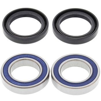 ALL BALLS WHEEL BEARING KIT (25 1021)