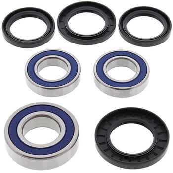 ALL BALLS WHEEL BEARING KIT (25 1001)