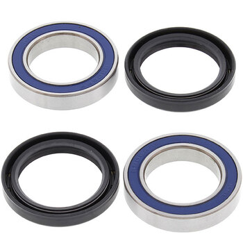 ALL BALLS WHEEL BEARING KIT (25 1161)