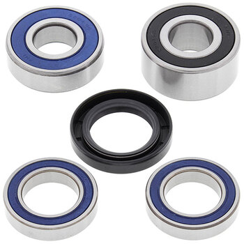 ALL BALLS WHEEL BEARING KIT (25 1001)