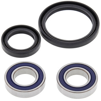 ALL BALLS WHEEL BEARING KIT (25 1402)