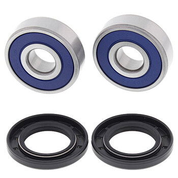 ALL BALLS WHEEL BEARING KIT (25 1021)