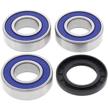 ALL BALLS WHEEL BEARING KIT (25 1001)