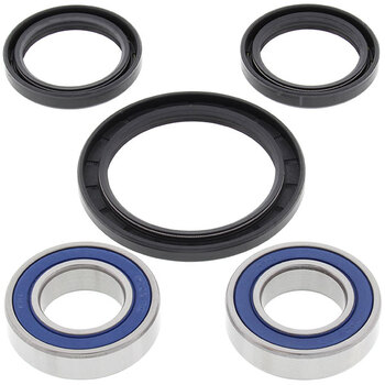 ALL BALLS WHEEL BEARING KIT (25 1001)