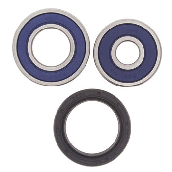 ALL BALLS WHEEL BEARING KIT (25 1021)