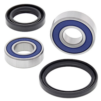 ALL BALLS WHEEL BEARING KIT (25 1001)