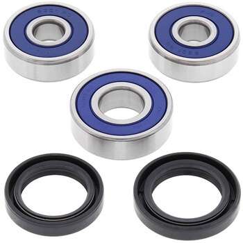 ALL BALLS WHEEL BEARING KIT (25 1402)