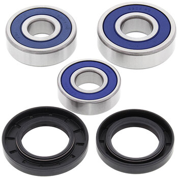 ALL BALLS WHEEL BEARING KIT (25 1001)