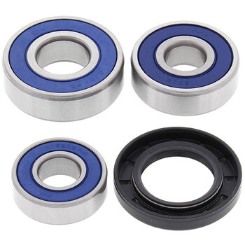 ALL BALLS WHEEL BEARING KIT (25 1001)