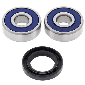 ALL BALLS WHEEL BEARING KIT (25 1001)