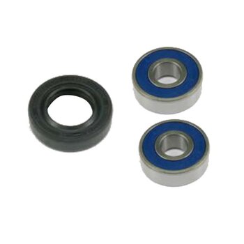 ALL BALLS WHEEL BEARING KIT (25 1001)