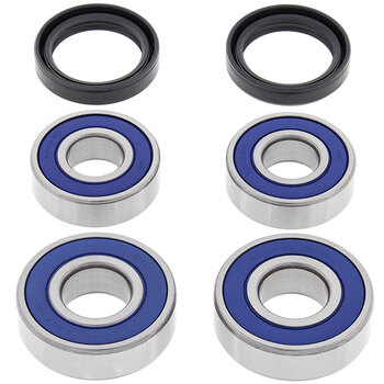 ALL BALLS WHEEL BEARING KIT (25 1001)