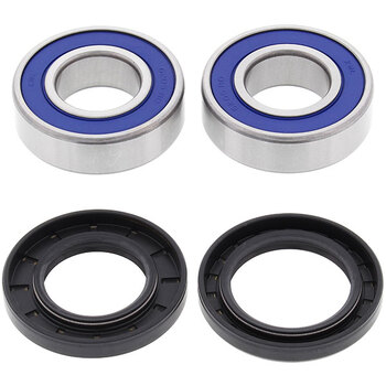 ALL BALLS WHEEL BEARING KIT (25 1001)