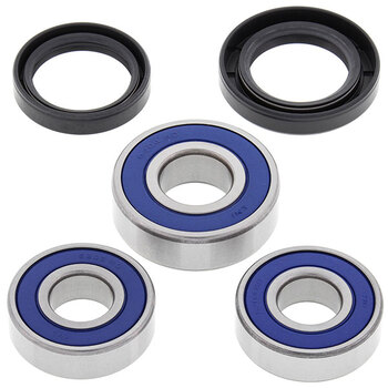 ALL BALLS WHEEL BEARING KIT (25 1001)