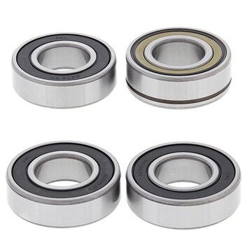 ALL BALLS WHEEL BEARING KIT (25 1001)