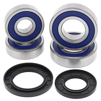 ALL BALLS WHEEL BEARING KIT (25 1001)