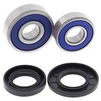 ALL BALLS WHEEL BEARING KIT (25 1001)