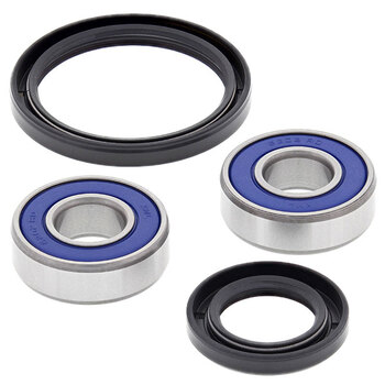 ALL BALLS WHEEL BEARING KIT (25 1001)