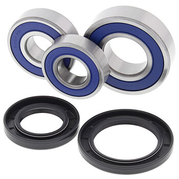 ALL BALLS WHEEL BEARING KIT (25 1001)