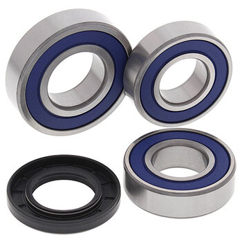 ALL BALLS WHEEL BEARING KIT (25 1001)