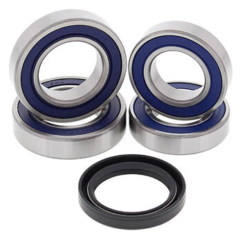 ALL BALLS WHEEL BEARING KIT (25 1644)