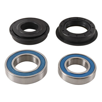 ALL BALLS WHEEL BEARING KIT (25 1029)