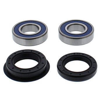 ALL BALLS WHEEL BEARING KIT (25 1029)