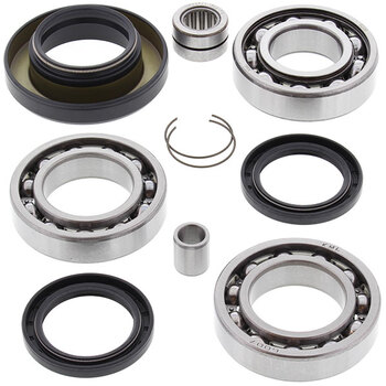 ALL BALLS DIFFERENTIAL BEARING & SEAL KIT (25 2067)