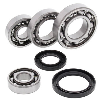 ALL BALLS DIFFERENTIAL BEARING & SEAL KIT (25 2067)