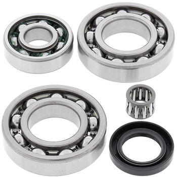 ALL BALLS DIFFERENTIAL BEARING & SEAL KIT (25 2067)