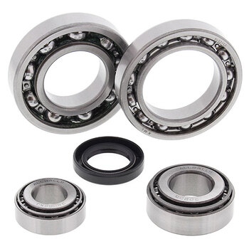 ALL BALLS DIFFERENTIAL BEARING & SEAL KIT (25 2067)