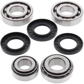 ALL BALLS DIFFERENTIAL BEARING & SEAL KIT (25 2011)