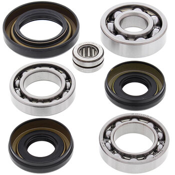 ALL BALLS DIFFERENTIAL BEARING & SEAL KIT (25 2002)